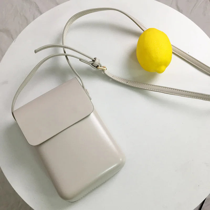 Small Solid Color Flap Leather Luxury Crossbody Bag